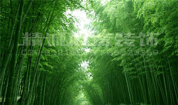 西寧展覽館設(shè)計